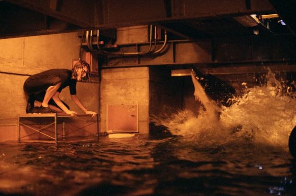 Imagen de "Deep Blue Sea" 16