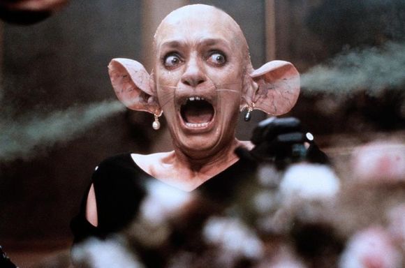 Imagen de "La maldición de las brujas" 13