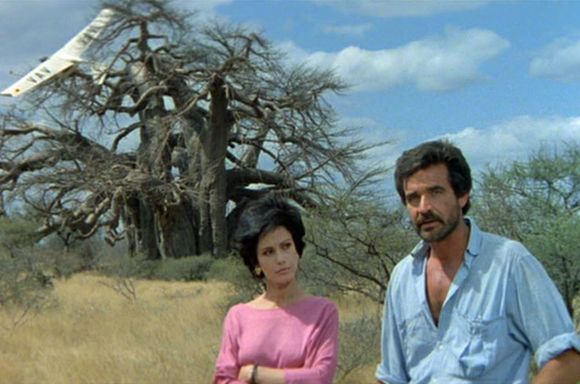 Imagen de "Los dioses deben estar locos II" 13