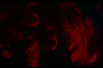 Imagen de "Piraña II: Los vampiros del mar" 6 Imagen de "Piraña II: Los vampiros del mar" 6