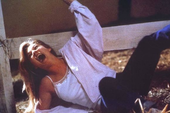 Imagen de "Proyecto: Terror" 3
