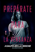 Cartel oficial en español de: Asalto en la noche